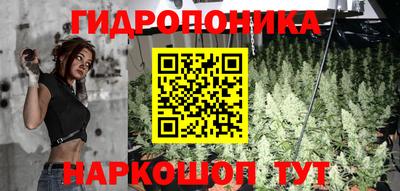 spice Нальчик