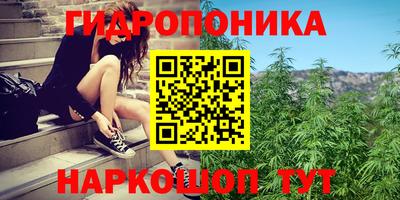 spice Нальчик