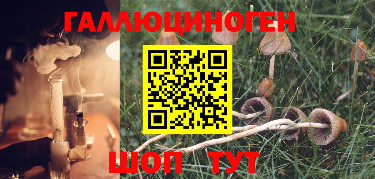 Галлюциногенные грибы Cubensis Фурманов