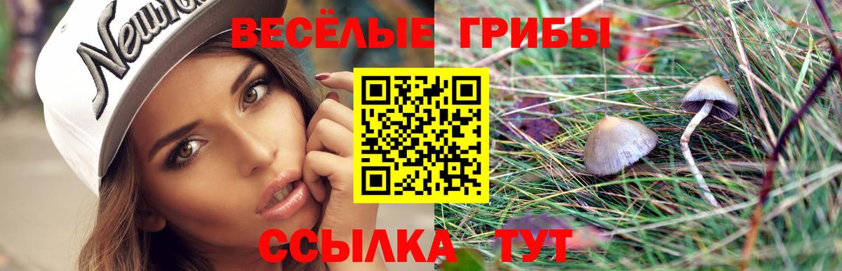 купить  сайты  Псилоцибиновые грибы Psilocybe  Вход с VPN  Фурманов  Псилоцибиновые грибы Magic Shrooms 